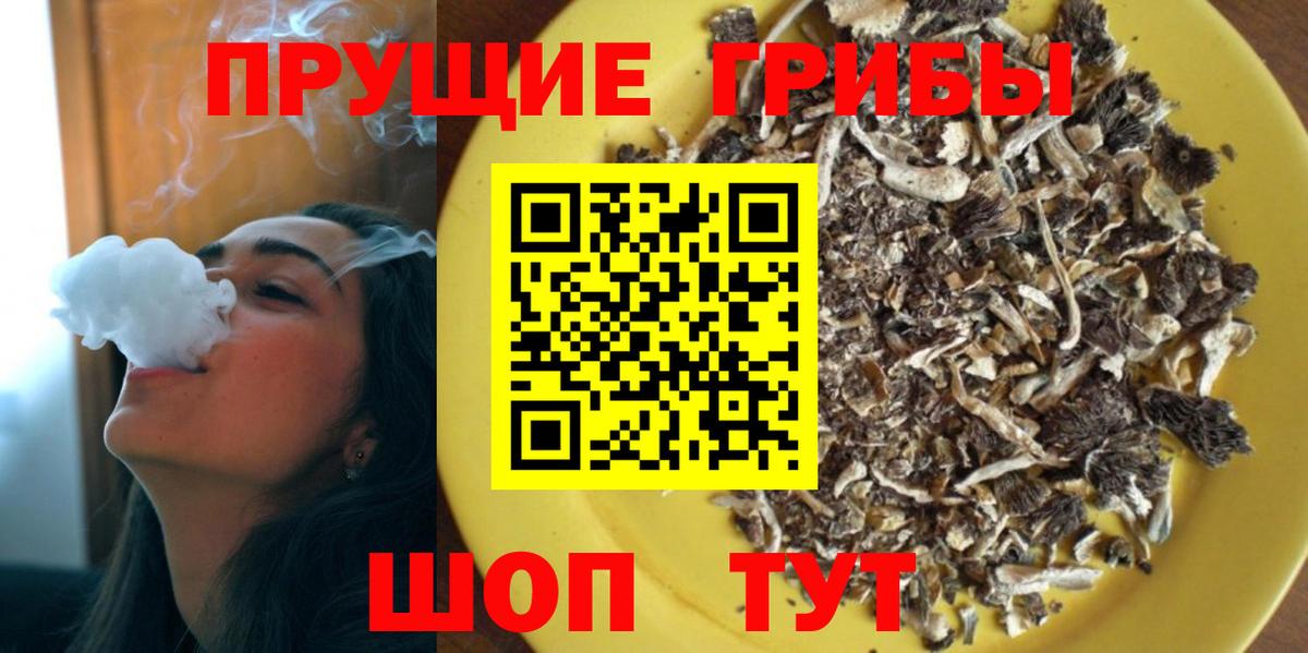 Псилоцибиновые грибы Psilocybe Нягань