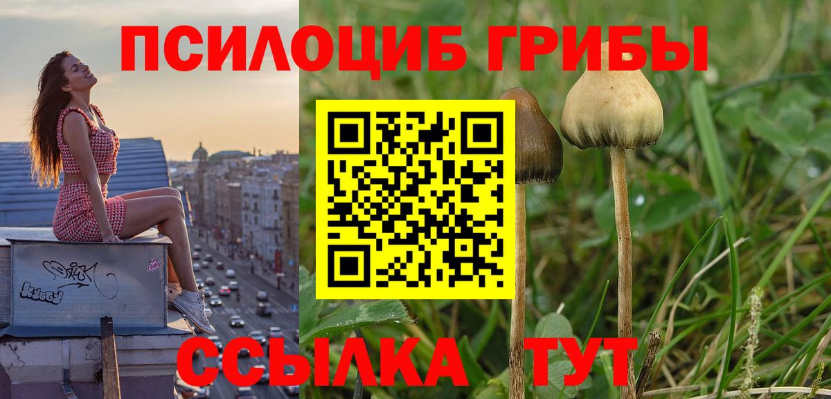 Псилоцибиновые грибы Psilocybine cubensis  Вход с VPN  купить наркотик  Нягань 